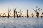 Wachtels Lagoon, Kingston-on-Murray