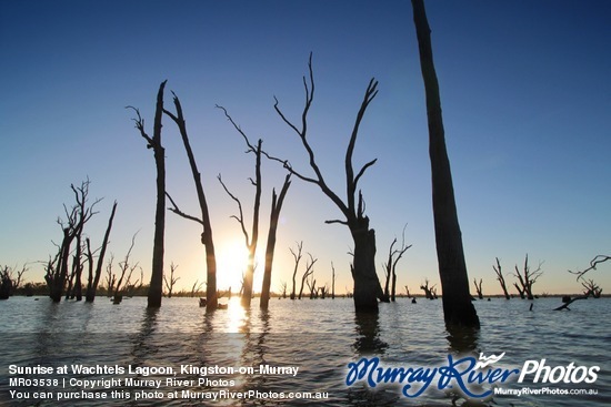 Sunrise at Wachtels Lagoon, Kingston-on-Murray