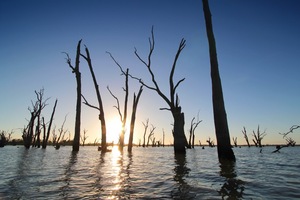 Sunrise at Wachtels Lagoon, Kingston-on-Murray