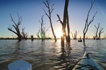 Kayaking on sunrise at Wachtels Lagoon, Kingston-on-Murray