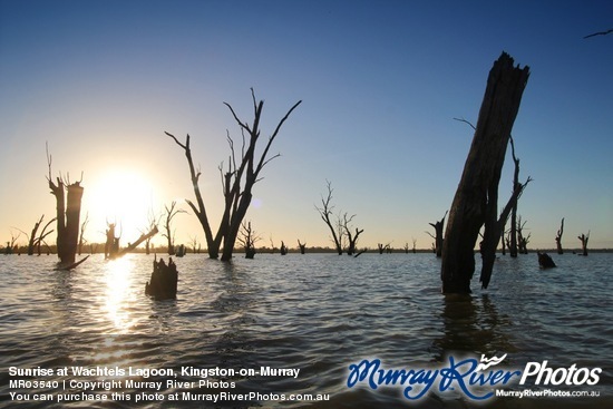 Sunrise at Wachtels Lagoon, Kingston-on-Murray