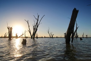 Sunrise at Wachtels Lagoon, Kingston-on-Murray