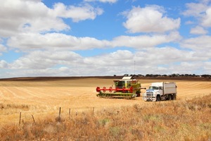 Wheat header and truck near Karoonda, Mallee