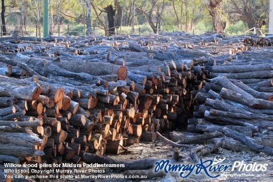 Willow wood piles for Mildura Paddlesteamers