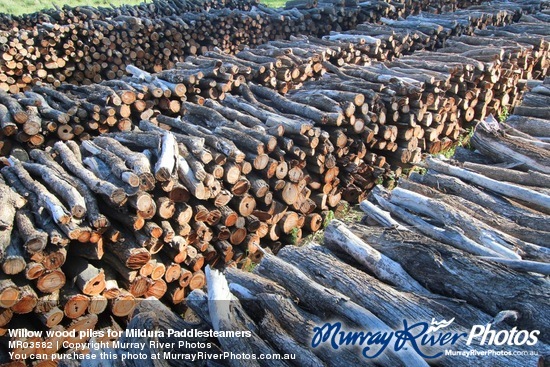 Willow wood piles for Mildura Paddlesteamers