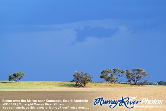 Storm over the Mallee near Karoonda, South Australia