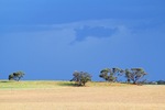 Storm over the Mallee near Karoonda, South Australia