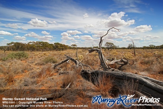 Murray-Sunset National Park