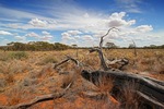 Murray-Sunset National Park