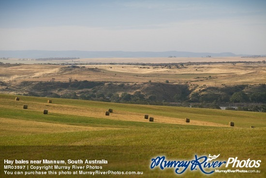 Hay bales near Mannum, South Australia