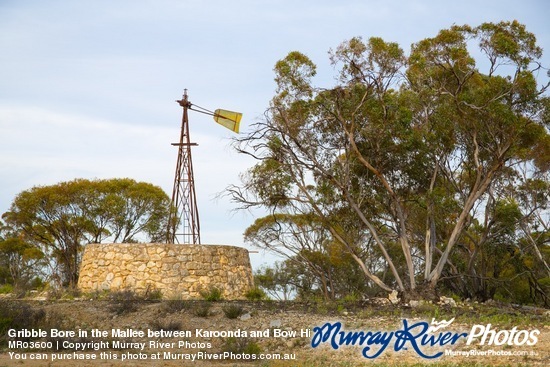 Gribble Bore in the Mallee between Karoonda and Bow Hill, South Australia