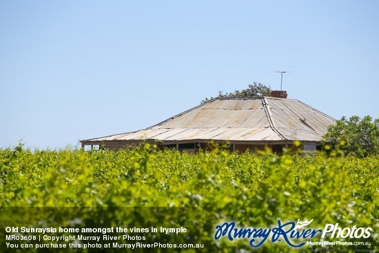 Old Sunraysia home amongst the vines in Irymple