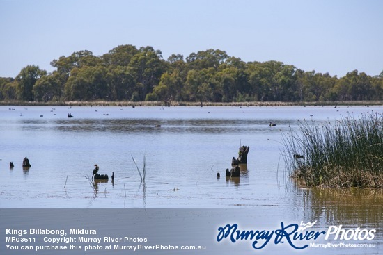 Kings Billabong, Mildura