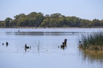 Kings Billabong, Mildura