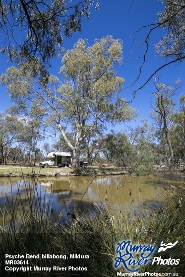 Psyche Bend billabong, Mildura