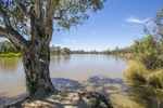 Murray River at Psyche Bend, Mildura