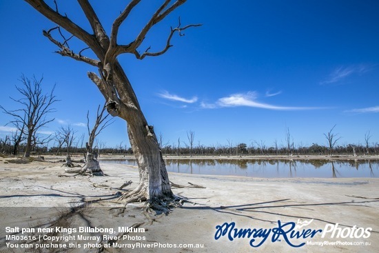 Salt pan near Kings Billabong, Mildura