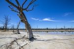 Salt pan near Kings Billabong, Mildura