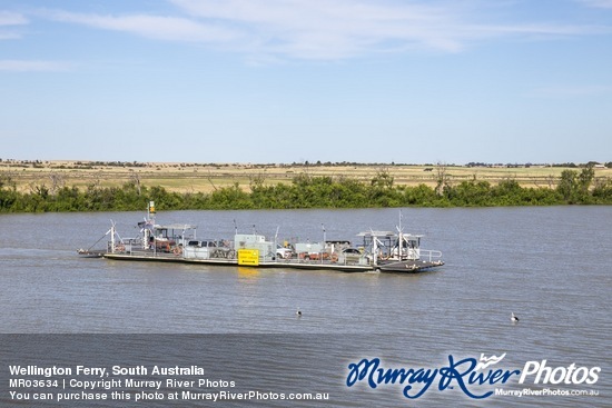 Wellington Ferry, South Australia