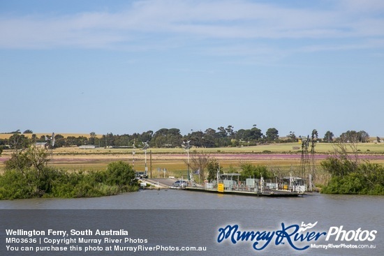 Wellington Ferry, South Australia