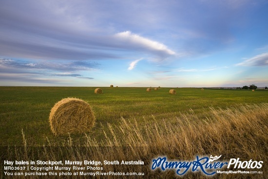 Hay bales in Stockport, Murray Bridge, South Australia