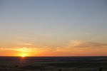 Wheat fields on sunrise at Big Plain, South Australia