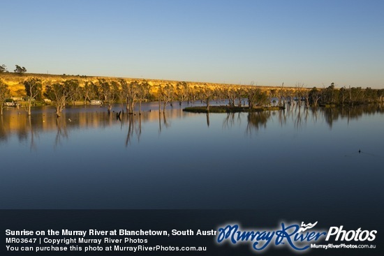 Sunrise on the Murray River at Blanchetown, South Australia