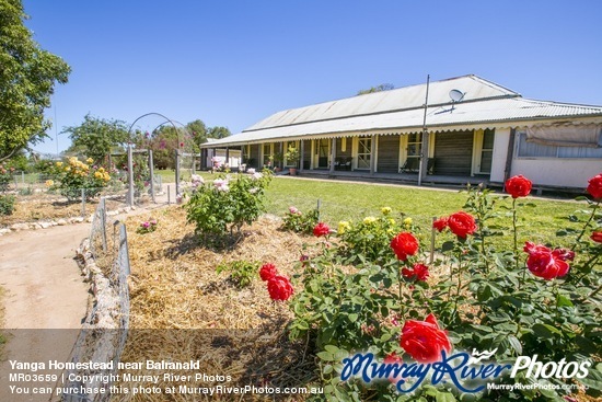 Yanga Homestead near Balranald