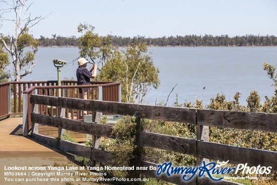 Lookout across Yanga Lake at Yanga Homestead near Balranald