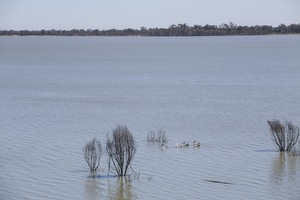 Yanga Lake at Yanga Homestead near Balranald