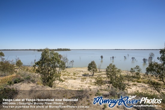 Yanga Lake at Yanga Homestead near Balranald