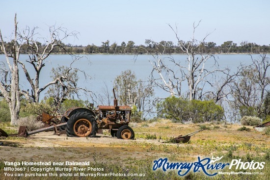 Yanga Homestead near Balranald