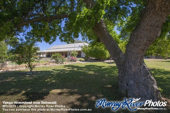 Yanga Homestead near Balranald