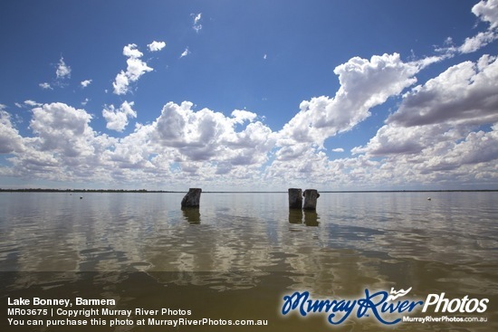 Lake Bonney, Barmera