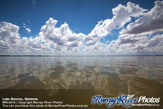 Lake Bonney, Barmera