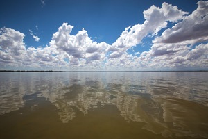 Lake Bonney, Barmera