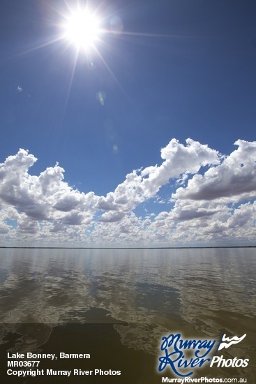 Lake Bonney, Barmera