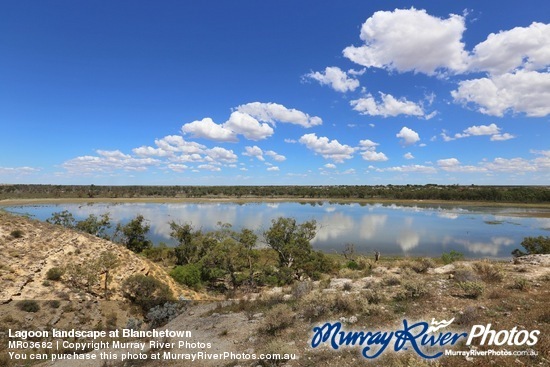 Lagoon landscape at Blanchetown