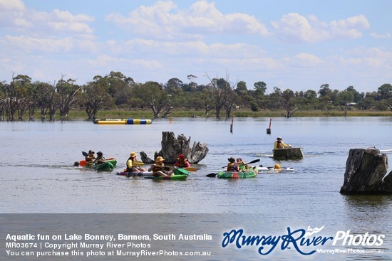 Aquatic fun on Lake Bonney, Barmera, South Australia