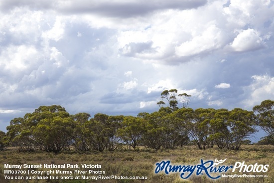 Murray Sunset National Park, Victoria