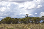 Murray Sunset National Park, Victoria