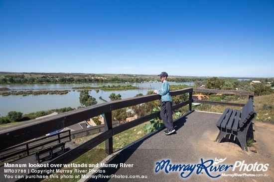 Mannum lookout over wetlands and Murray River