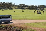 Monarto Zoo, South Australia