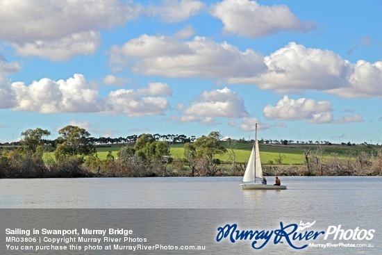 Sailing in Swanport, Murray Bridge