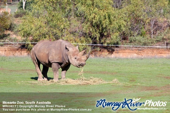 Monarto Zoo, South Australia