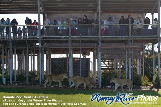 Monarto Zoo, South Australia