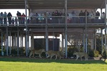 Monarto Zoo, South Australia