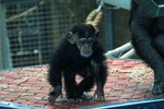 Monarto Zoo, South Australia