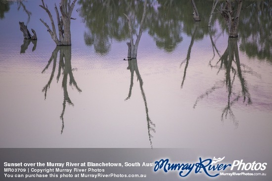 Sunset over the Murray River at Blanchetown, South Australia