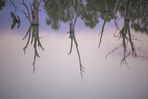 Sunset over the Murray River at Blanchetown, South Australia